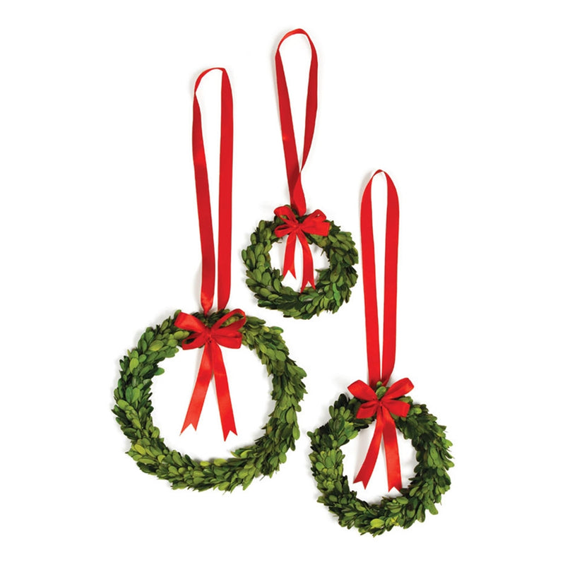 Preserved Boxwood Wreaths with Red Ribbon, Set of 3