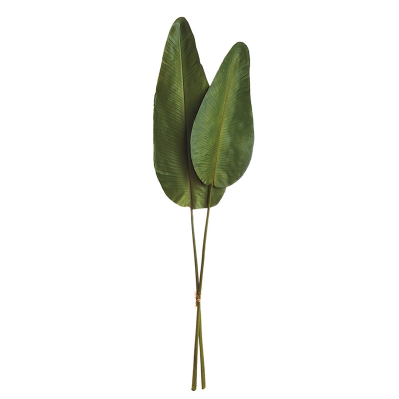 Napa Home & Garden Strelitzia Leaf 63" Bundle/2