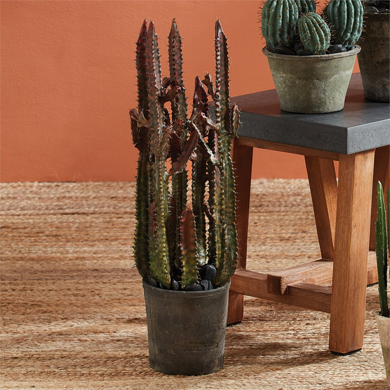 Napa Floral Collection-Spurge Cactus Potted 27 inches