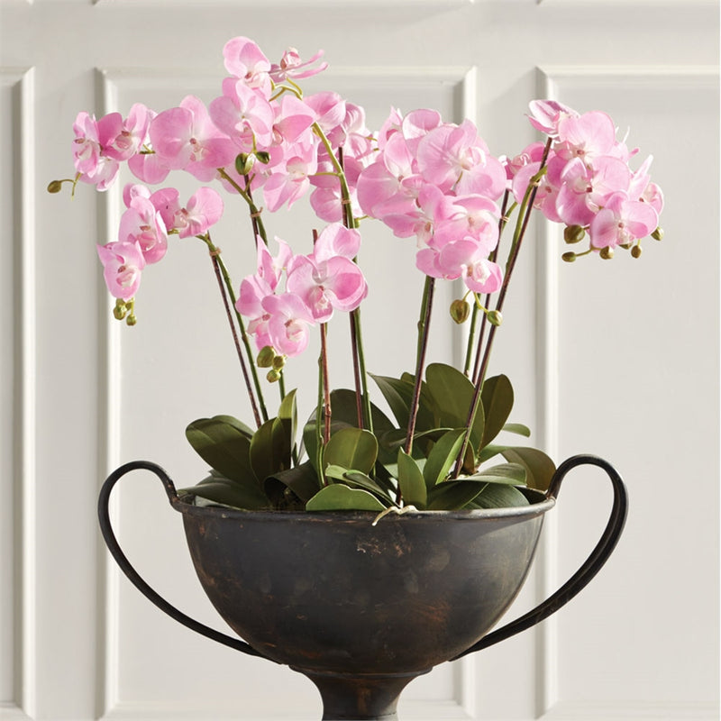 Napa Home & Garden DI1202P Conservatory Phalaenopsis Pink Drop In - 30 in.