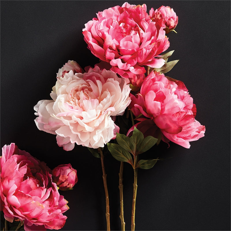 Napa Floral Collection-Peony Stem 21 inches Fuchsia