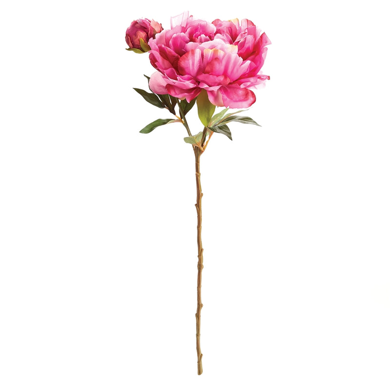 Napa Floral Collection-Peony Stem 21 inches Fuchsia