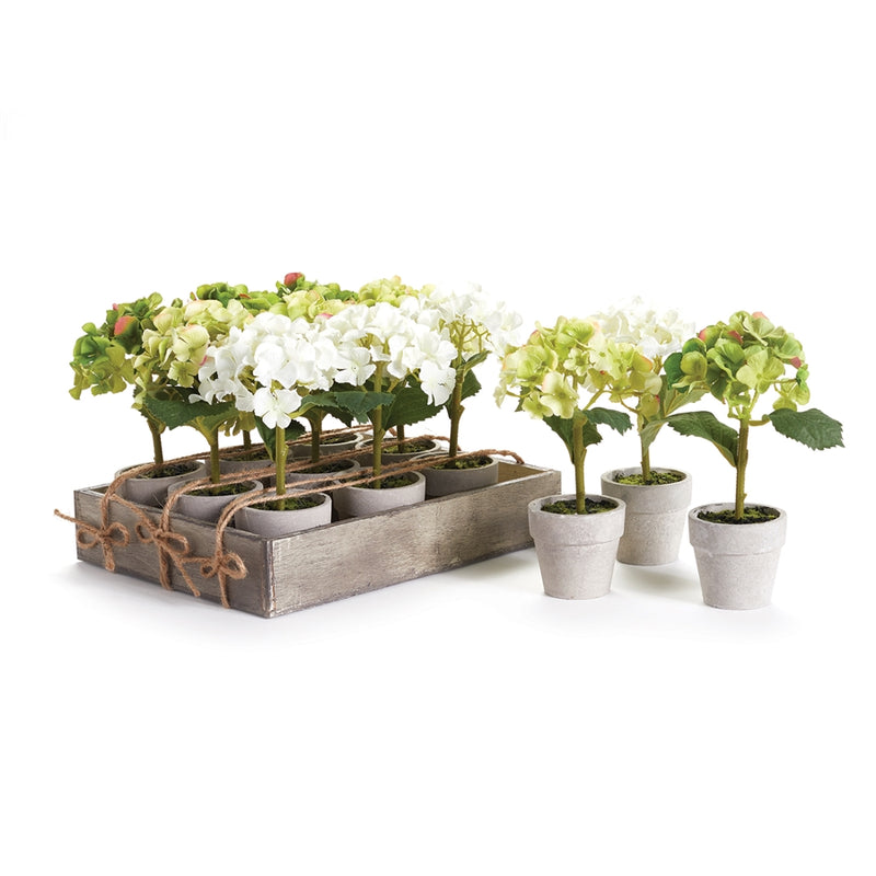 Napa Floral Collection-Mini Hydrangea 7 inches Potted , Set of 12