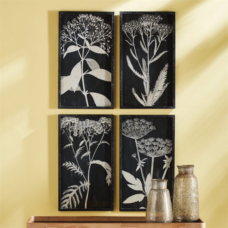 Napa Home Collection-Wall Art, Monochrme Queen Annes Lce Prnts ,Set of 4