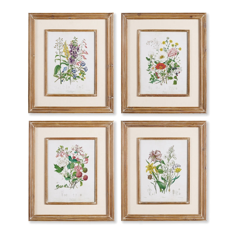 Napa Home Collection-Wall Art, Garden Botanical Prints, Set of 4