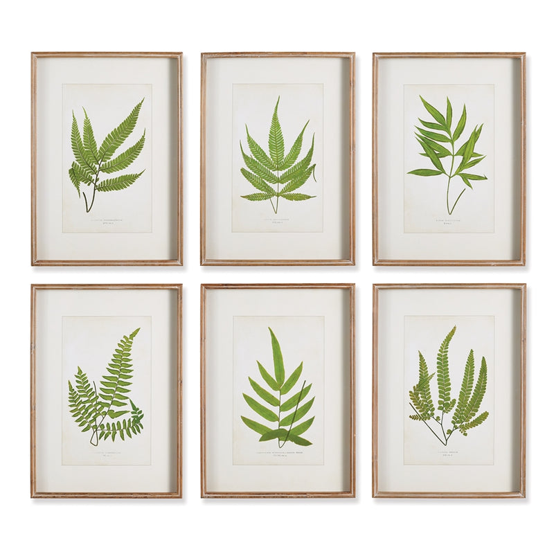 FOREST GREENERY PRINTS ST/6