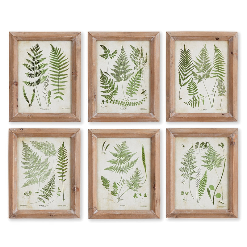 Napa Home Collection-Wall Art, Assorted Frond Study Petite,Set of 6