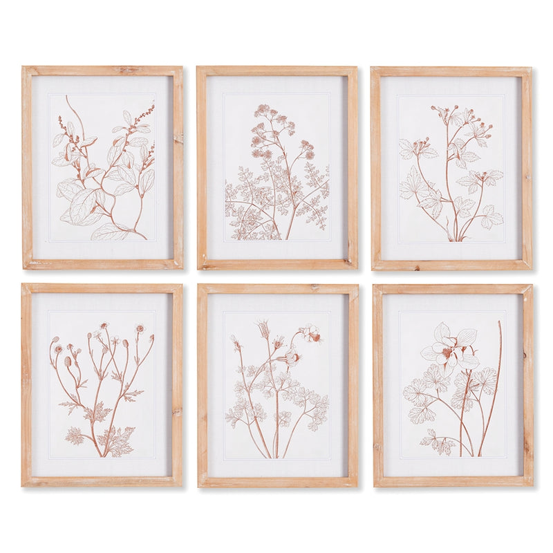 Napa Home Collection-Wall Art, Botanicals In Blush Prints, Set of 6