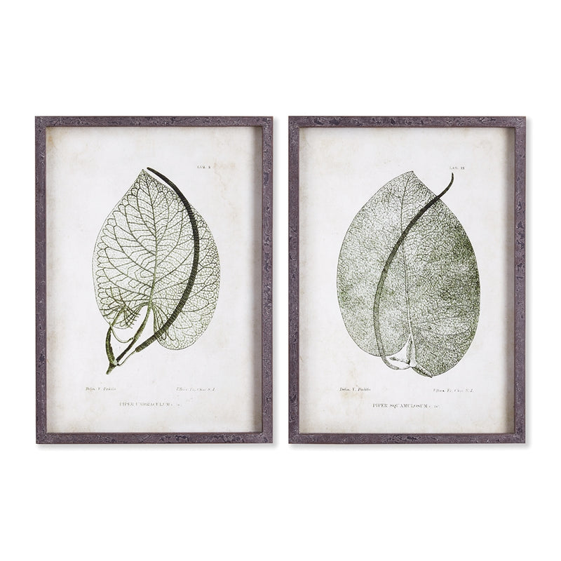 Napa Home Collection-Wall Art, Cordate Leaf Study, Set of 2