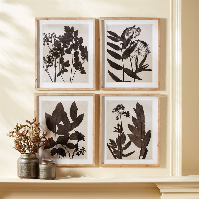 Napa Home Collection-Wall Art, Pressed Foliage Prints, Set of 4
