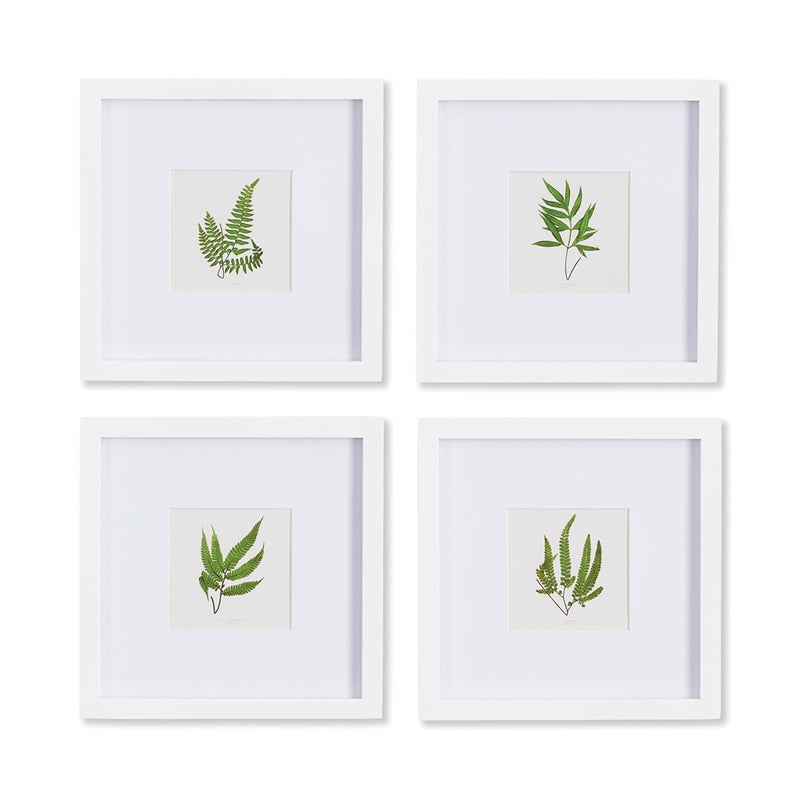 Napa Home Collection-Wall Art, Forest Greenery Petite Prints, Set of 4