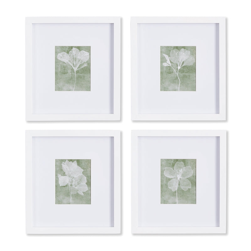 Napa Home Collection-Wall Art, Translucent Floral Petite Prints, Set of 4