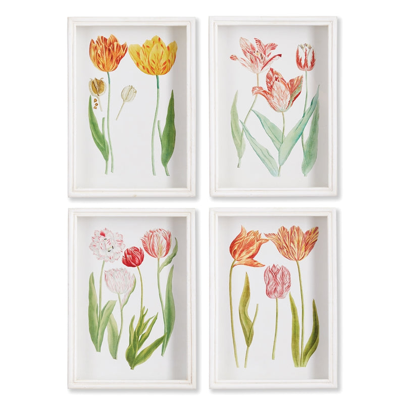 Napa Home Collection-Wall Art, Tulip Prints, Set of 4