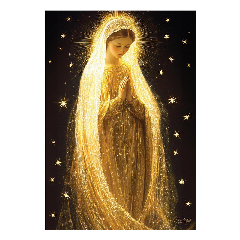 Radiant Mary Lustre House Flag