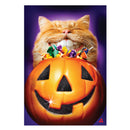 Cat Pumpkin Teeth Suede House Flag