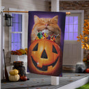 Cat Pumpkin Teeth Suede House Flag