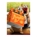 Pumpkin Ale Suede Garden Flag