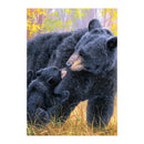 Bear Kisses Suede Garden Flag