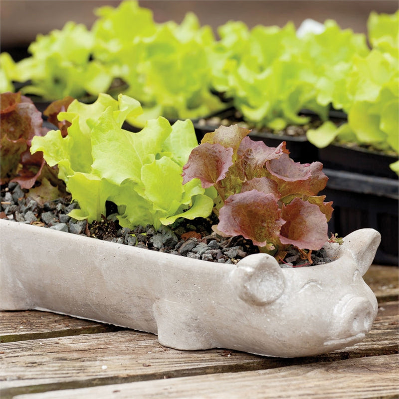 Napa Home Garden, PIG TROUGH,2305