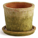 Napa Home Garden, TC WHT POT W SAUCER MOSS FINISH SM,2357sw