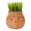 5" Expression Terracotta Planter