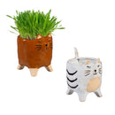 Petal & Plow Planter, Ceramic, Cat, Asst of 2