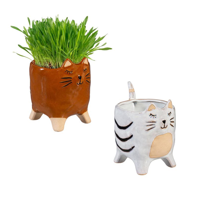 Petal & Plow Planter, Ceramic, Cat, Asst of 2