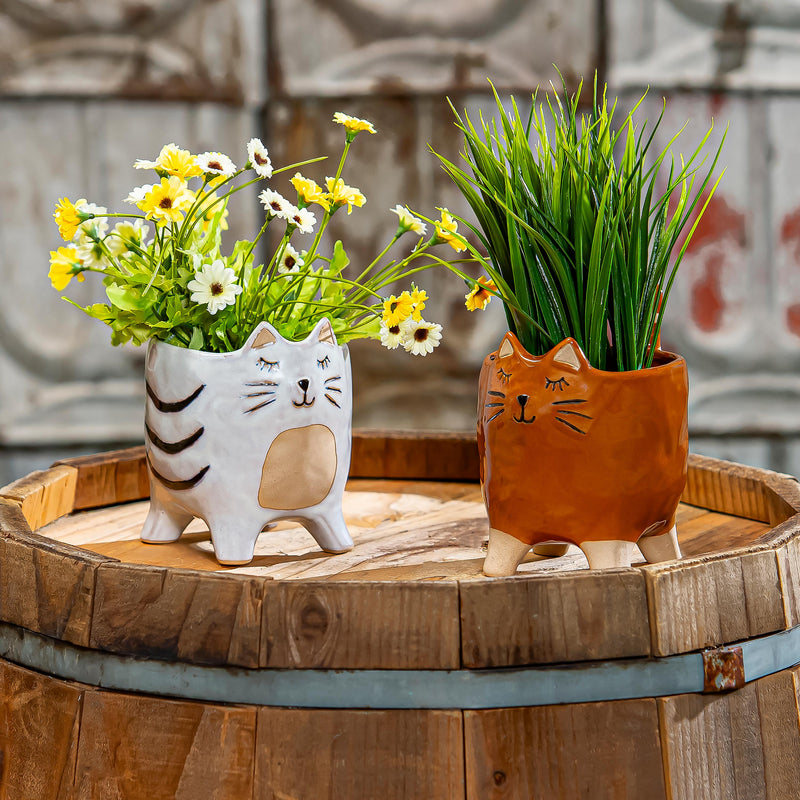 Petal & Plow Planter, Ceramic, Cat, Asst of 2