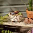 Ceramic Crackled Planter