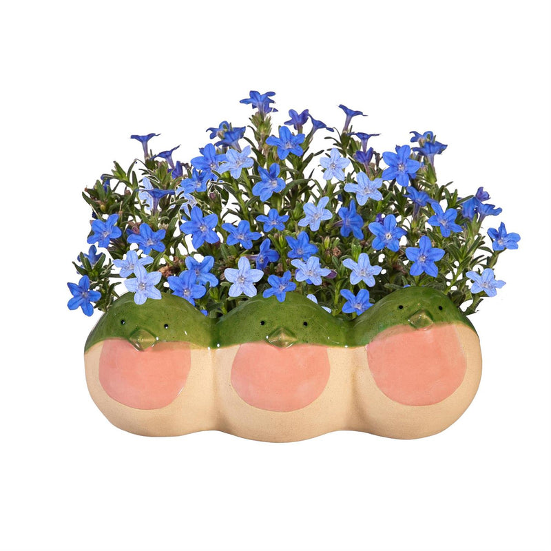 Chubby Trio of Hummingbirds Planter