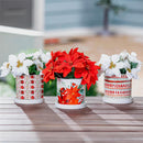 Holiday Poinsettia Planter, Ceramic Cachepot with Dish, 4.25", Asst of 3, CDU
