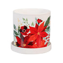 Holiday Poinsettia Planter, Ceramic Cachepot with Dish, 4.25", Asst of 3, CDU