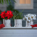 Shades of Emerald Planter with Dish, Ceramic, Fine Line Holiday Drawings, 4.25", Asst of 3, CDU