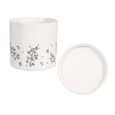 Shades of Emerald Planter with Dish, Ceramic, Fine Line Holiday Drawings, 4.25", Asst of 3, CDU