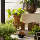 Clay Planter with Round Pebble Rim