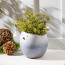 Blue Chubby Bird Ceramic Planter