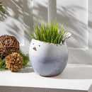 Blue Chubby Bird Ceramic Planter