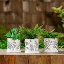 What She Shed Planter, Cachepot with Dish, 4.25", Asst of 3