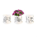 What She Shed Planter, Cachepot with Dish, 4.25", Asst of 3