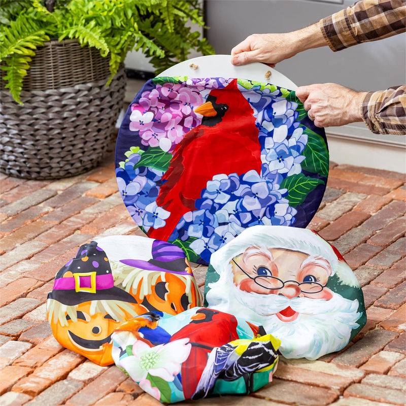 Nature and Holiday Charm, 4-Season Interchangeable Door Decor Set