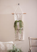 Macrame Wall Pocket Plant Cover, Natural
