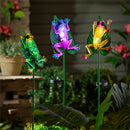 Pollinator Garden Stake, Solar Frog, 39", CDU