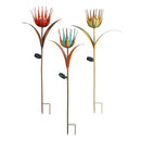 Cottage Garden Stake, Solar Aster Flower, 40", CDU