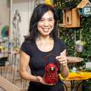 Cardinal Solar Lantern