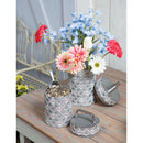 Embossed Metal Storage Containers, Outdoor Safe, Nested Set of 2