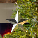 11.75" Plastic Metallic Star Ornament,3ot830