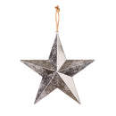 11.75" Plastic Metallic Star Ornament,3ot830