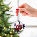 University of Connecticut, Ball Head Ornament