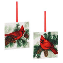 Holiday Poinsettia Ornament Cardinal Square Wood, Asst, 4"
