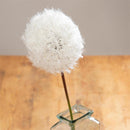Cottage Garden Stem Artificial White Dandelion Artificial, 35"H, Program
